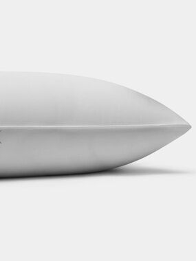 Cozy Earth Bamboo Down Alternative Bed Pillow Standard Sealed $128 retail